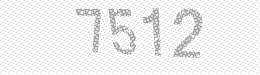 Visual security code — type the characters shown in the image