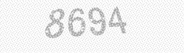 Visual security code — type the characters shown in the image